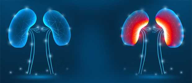 10 semne care ne ajută să recunoaștem boala cronică de rinichi