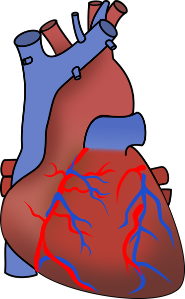 Hipertensiunea duce la risc cardiovascular